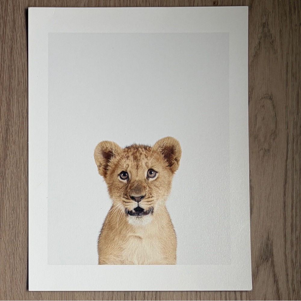 The Animal Print Shop by Sharon Montrose nursery print lion cub